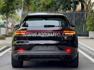 Xe Porsche Cayenne 3.0 V6 2023